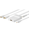 DisplayPort til Mini DisplayPort, Toslink, USB og HDMI