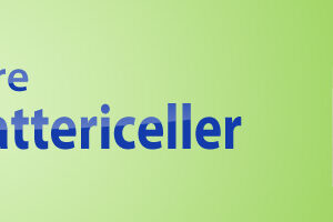 Sub-C batterier