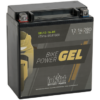 YTX16-BS GEL batteri til Gressklipper MC og ATV 12V 14Ah (150x87x161mm)-0